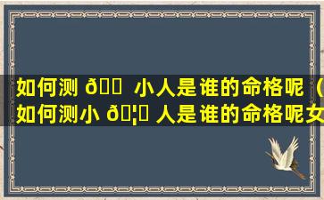 如何测 🐠 小人是谁的命格呢（如何测小 🦈 人是谁的命格呢女生）